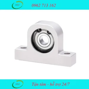 Vòng bi có gối đỡ C-BGHKA6900ZZ-20